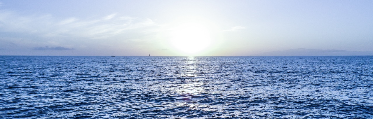 青い海とさかなの物語